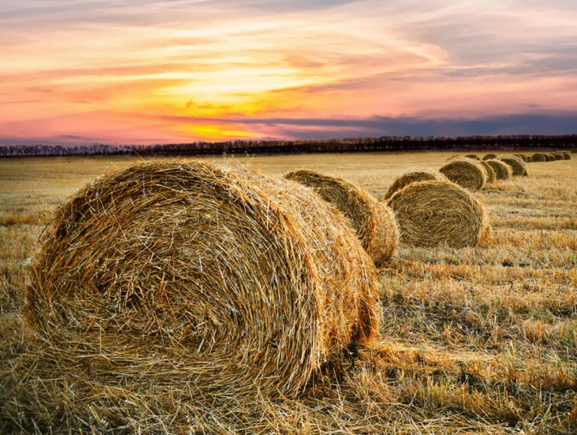 Nutrien Ag Solutions