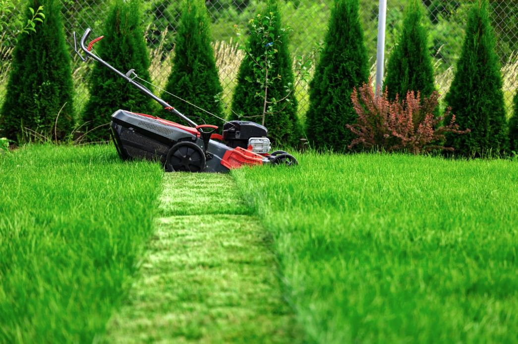Ulladulla Mowers